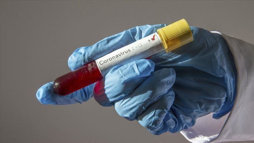 British Strain of Coronavirus Detected in Azerbaijan