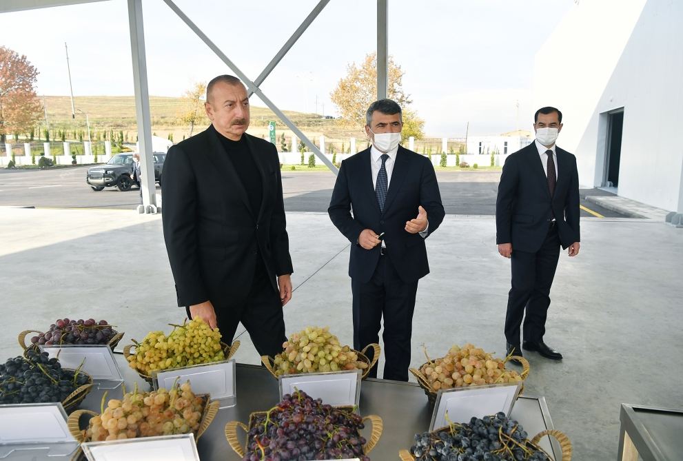President Ilham Aliyev, First Lady Mehriban Aliyeva attend the opening of Shamakhi Grape Seedling Center
